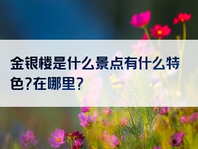 金银楼是什么景点有什么特色？在哪里？