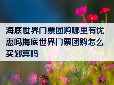 海底世界门票团购哪里有优惠吗海底世界门票团购怎么买划算吗