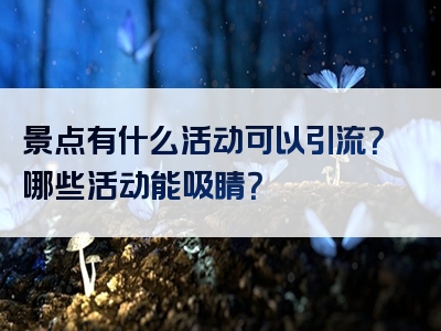 景点有什么活动可以引流？哪些活动能吸睛？