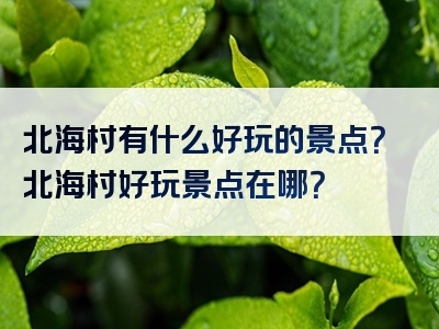 北海村有什么好玩的景点？北海村好玩景点在哪？