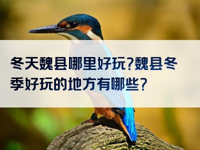 冬天魏县哪里好玩？魏县冬季好玩的地方有哪些？