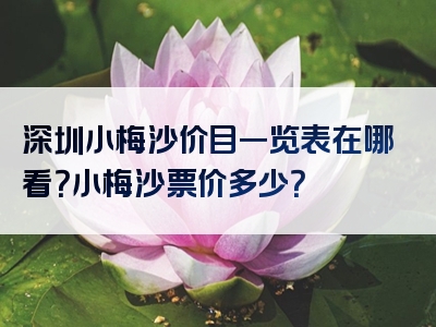 深圳小梅沙价目一览表在哪看？小梅沙票价多少？