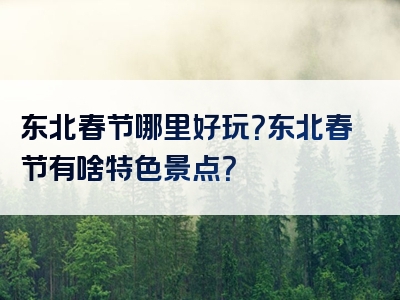 东北春节哪里好玩？东北春节有啥特色景点？