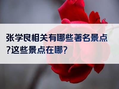 张学良相关有哪些著名景点？这些景点在哪？