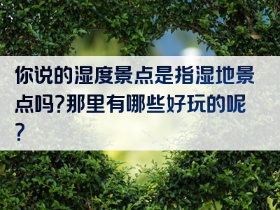 你说的湿度景点是指湿地景点吗？那里有哪些好玩的呢？