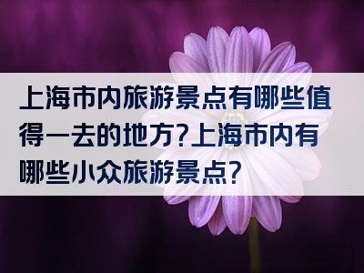 上海市内旅游景点有哪些值得一去的地方？上海市内有哪些小众旅游景点？