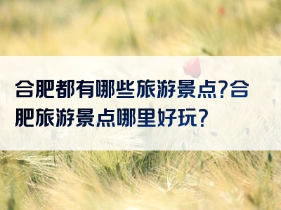 合肥都有哪些旅游景点？合肥旅游景点哪里好玩？