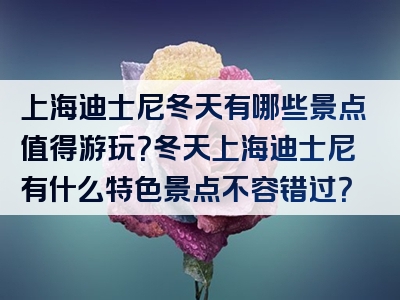 上海迪士尼冬天有哪些景点值得游玩？冬天上海迪士尼有什么特色景点不容错过？