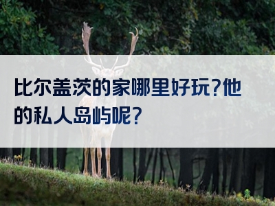 比尔盖茨的家哪里好玩？他的私人岛屿呢？