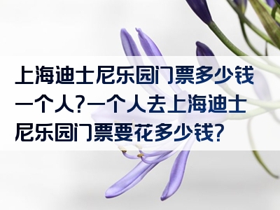 上海迪士尼乐园门票多少钱一个人？一个人去上海迪士尼乐园门票要花多少钱？