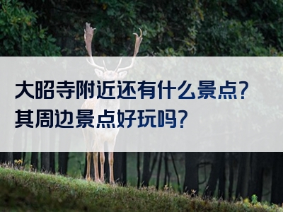 大昭寺附近还有什么景点？其周边景点好玩吗？