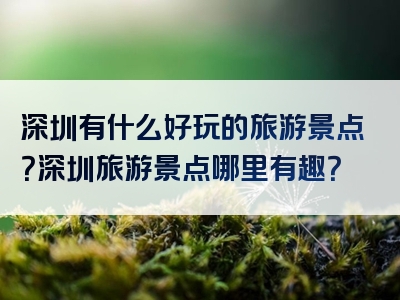 深圳有什么好玩的旅游景点？深圳旅游景点哪里有趣？