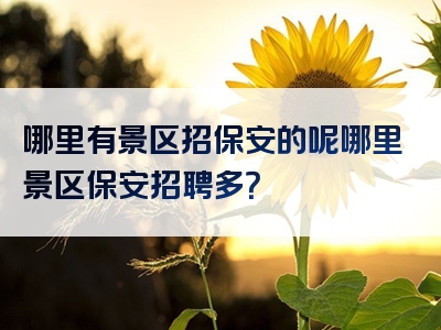 哪里有景区招保安的呢哪里景区保安招聘多？