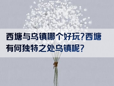 西塘与乌镇哪个好玩？西塘有何独特之处乌镇呢？