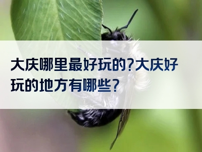 大庆哪里最好玩的？大庆好玩的地方有哪些？