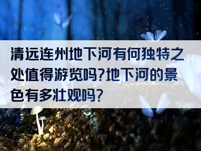 清远连州地下河有何独特之处值得游览吗？地下河的景色有多壮观吗？