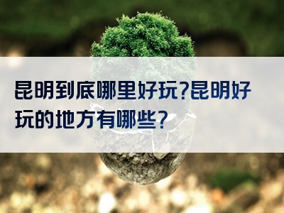 昆明到底哪里好玩？昆明好玩的地方有哪些？