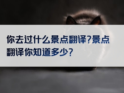 你去过什么景点翻译？景点翻译你知道多少？