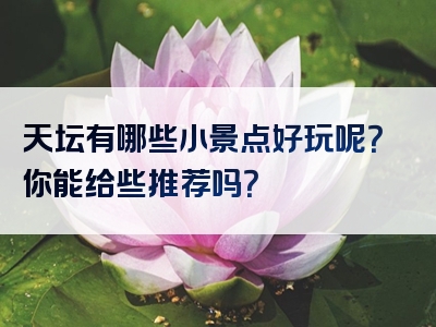 天坛有哪些小景点好玩呢？你能给些推荐吗？