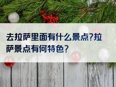 去拉萨里面有什么景点？拉萨景点有何特色？