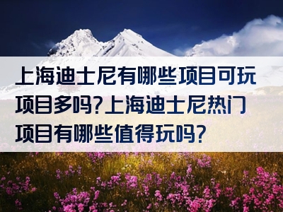 上海迪士尼有哪些项目可玩项目多吗？上海迪士尼热门项目有哪些值得玩吗？