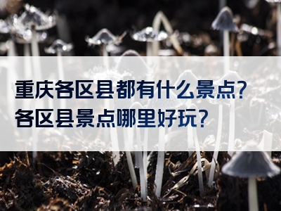 重庆各区县都有什么景点？各区县景点哪里好玩？