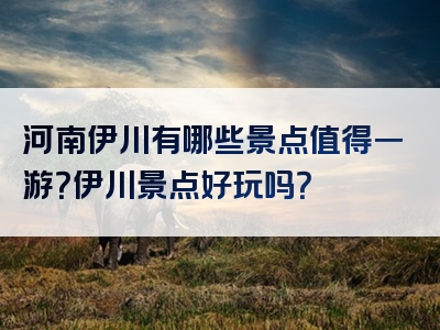 河南伊川有哪些景点值得一游？伊川景点好玩吗？