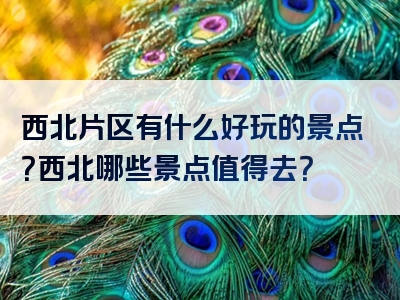 西北片区有什么好玩的景点？西北哪些景点值得去？