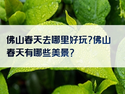 佛山春天去哪里好玩？佛山春天有哪些美景？