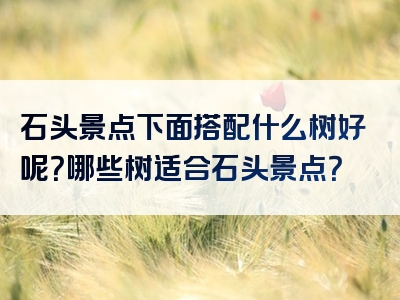 石头景点下面搭配什么树好呢？哪些树适合石头景点？