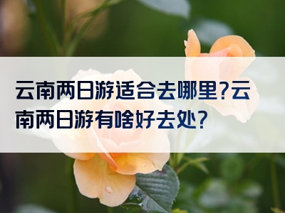 云南两日游适合去哪里？云南两日游有啥好去处？