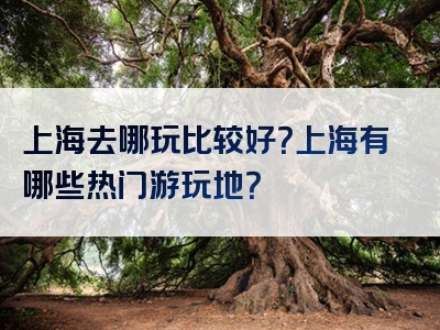上海去哪玩比较好？上海有哪些热门游玩地？