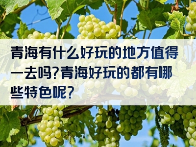 青海有什么好玩的地方值得一去吗？青海好玩的都有哪些特色呢？