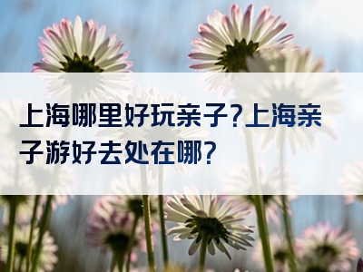 上海哪里好玩亲子？上海亲子游好去处在哪？