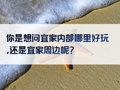 你是想问宜家内部哪里好玩，还是宜家周边呢？