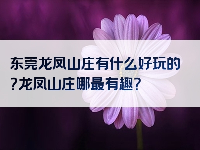 东莞龙凤山庄有什么好玩的？龙凤山庄哪最有趣？