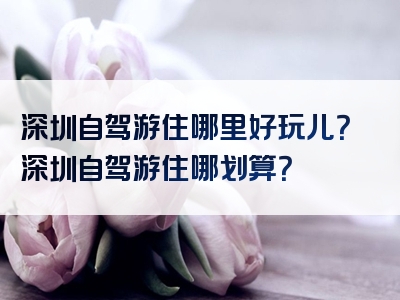 深圳自驾游住哪里好玩儿？深圳自驾游住哪划算？