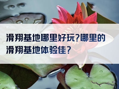 滑翔基地哪里好玩？哪里的滑翔基地体验佳？