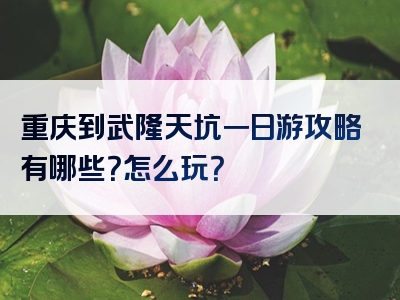 重庆到武隆天坑一日游攻略有哪些？怎么玩？