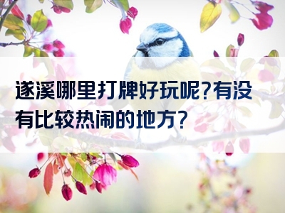 遂溪哪里打牌好玩呢？有没有比较热闹的地方？