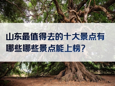 山东最值得去的十大景点有哪些哪些景点能上榜？