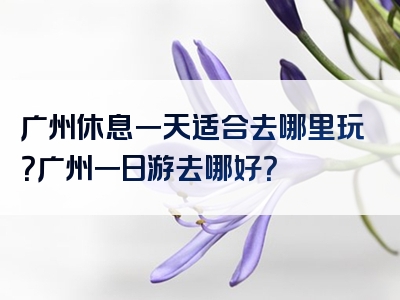 广州休息一天适合去哪里玩？广州一日游去哪好？