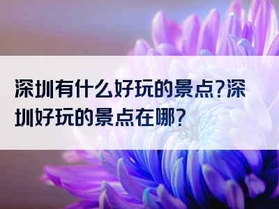 深圳有什么好玩的景点？深圳好玩的景点在哪？