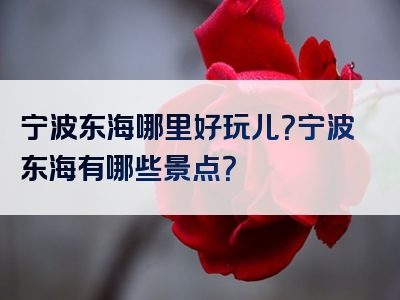 宁波东海哪里好玩儿？宁波东海有哪些景点？