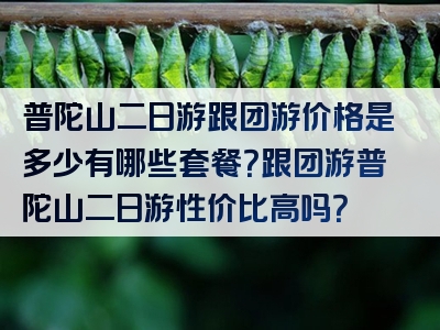 普陀山二日游跟团游价格是多少有哪些套餐？跟团游普陀山二日游性价比高吗？