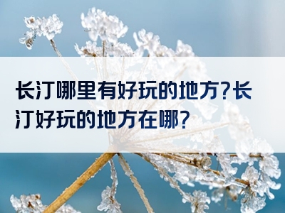 长汀哪里有好玩的地方？长汀好玩的地方在哪？