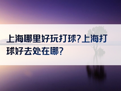 上海哪里好玩打球？上海打球好去处在哪？