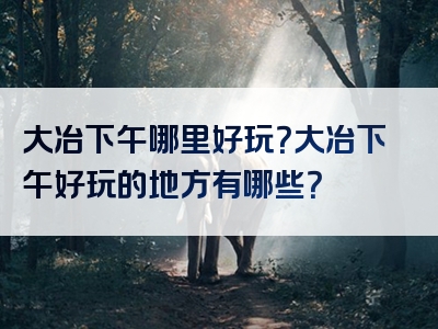 大冶下午哪里好玩？大冶下午好玩的地方有哪些？