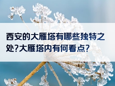 西安的大雁塔有哪些独特之处？大雁塔内有何看点？