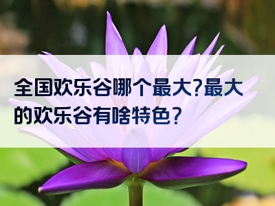 全国欢乐谷哪个最大？最大的欢乐谷有啥特色？